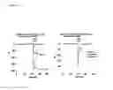 Fig. 09 - Cholinergic/serotoninergic receptor and uses thereof