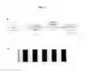 Fig. 04 - Method for obtaining structural and functional information on proteins, based on polarization fluorescence microscopy
