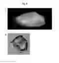 Fig. 09 - Method for obtaining structural and functional information on proteins, based on polarization fluorescence microscopy