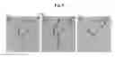 Fig. 10 - Method for obtaining structural and functional information on proteins, based on polarization fluorescence microscopy