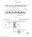Fig. 23 - Method for the toxicity assessments of nano-materials