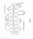 Fig. 02 - GPCR comprising an IC2 insertion
