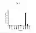 Fig. 14 - Ethanol production from ocean biomass