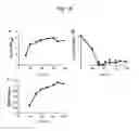 Fig. 19 - Ethanol production from ocean biomass