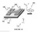 Fig. 04 - Graphene-encapsulated nanoparticle-based biosensor for the selective detection of biomarkers