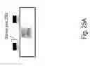 Fig. 130 - Method of manufacturing a semiconductor device and structure