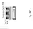 Fig. 221 - Method of manufacturing a semiconductor device and structure