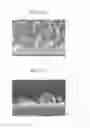 Fig. 09 - Carbon nanotube forming method and pre-treatment method therefor