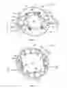 Fig. 02 - Solid state lighting assembly having a strain relief member
