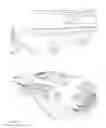 Fig. 08 - Amphibious yacht