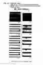 Fig. 34 - Liquid crystal display apparatus wherein alignment control layers and bumps are made of a polymerizable compound included in and mixed with a liquid crystal layer