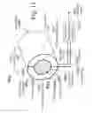 Fig. 12 - Squeezable musical toy with looping and decaying score and variable capacitance stress sensor