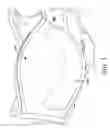 Fig. 07 - Exercise garment