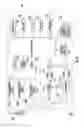 Fig. 07 - Mobile wireless communications device providing selective image display based upon near field communication (NFC) and related methods