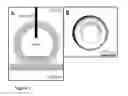 Fig. 02 - BILAYERS