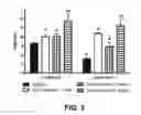 Fig. 06 - Modulating neuromuscular junction density changes in botulinum-toxin treated tissue
