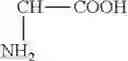 Fig. 02 - Amino acid compounds