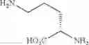 Fig. 09 - Amino acid compounds