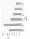 Fig. 06 - FUNCTIONALIZED CELL BINDING PEPTIDES AND CELL CULTURE ARTICLES