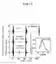 Fig. 16 - Method of measuring properties of an object with acoustically induced electromagnetic waves