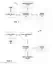 Fig. 02 - Remote collection of computer forensic evidence
