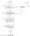 Fig. 14 - Efficient key hierarchy for delivery of multimedia content