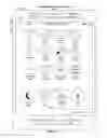 Fig. 06 - Touch Screen Device, Method, and Graphical User Interface for Displaying and Selecting Application Options