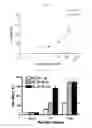 Fig. 07 - Gut flora-derived extracellular vesicles, and method for searching for a disease model, vaccine, and candidate drug and for diagnosis using the same
