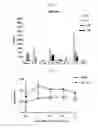 Fig. 09 - Gut flora-derived extracellular vesicles, and method for searching for a disease model, vaccine, and candidate drug and for diagnosis using the same