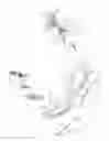 Fig. 02 - Swim goggles