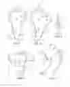 Fig. 02 - HINGED GLIDE HOOKS