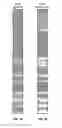 Fig. 07 - Synthetic formation evaluation logs based on drilling vibrations