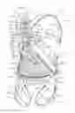 Fig. 01 - Lightweight controlled descent system with an integral reserve suspension relief strap (RSRS)