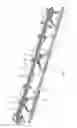 Fig. 02 - Device for transporting upright containers in a straight line