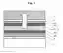 Fig. 02 - FRONT SIDE EMITTING TYPE ORGANIC LIGHT-EMITTING DISPLAY DEVICE AND METHOD OF MANUFACTURING THE SAME