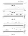 Fig. 02 - Integrated circuit structures, semiconductor structures, and semiconductor die