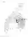Fig. 07 - Stroller