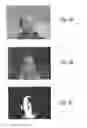 Fig. 07 - System and method for modifying images