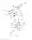 Fig. 08 - Automatically stretchable folding spectacles