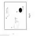Fig. 06 - Device for determining particle sizes