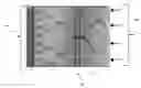 Fig. 01 - Imaging laser diodes with a lightwave circuit