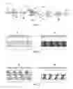 Fig. 02 - Optical interconnect using optical transmitter pre-distortion