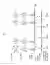 Fig. 05 - System, method, and apparatus for high-sensitivity optical detection