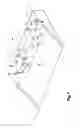 Fig. 08 - Compound motion structure