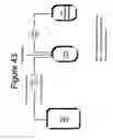Fig. 49 - COMPOSITIONS AND METHODS FOR PROLONGING SURVIVAL OF PLATELETS