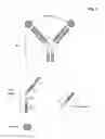 Fig. 02 - Bivalent, bispecific antibodies