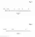 Fig. 06 - Bivalent, bispecific antibodies