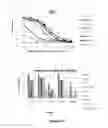 Fig. 11 - VIRAL POLYPEPTIDES AND METHODS