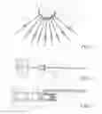 Fig. 02 - Device for placing a dental splint