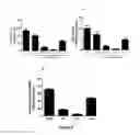 Fig. 09 - Methods, Compositions and Kits for the Evaluation and Preservation of Sperm